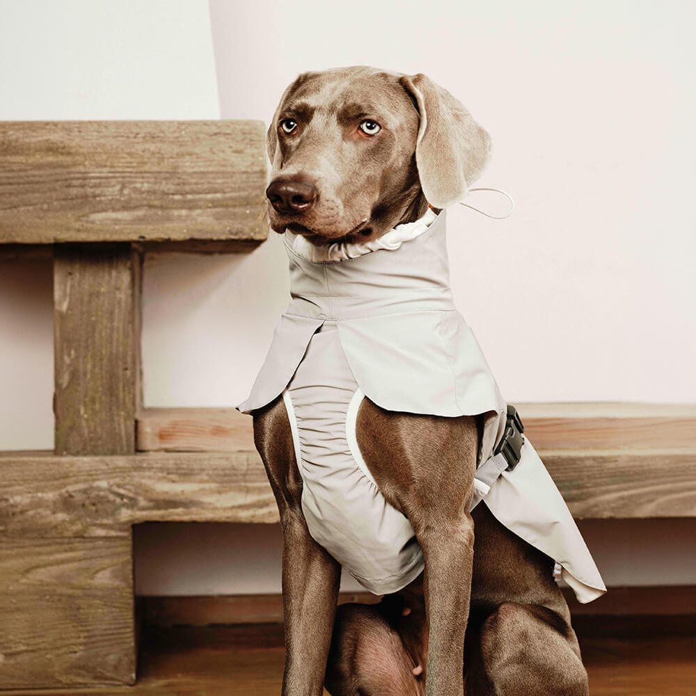 Veste imperméable légère et imperméable pour chien, imperméable, élégante, à col roulé, pour l'extérieur