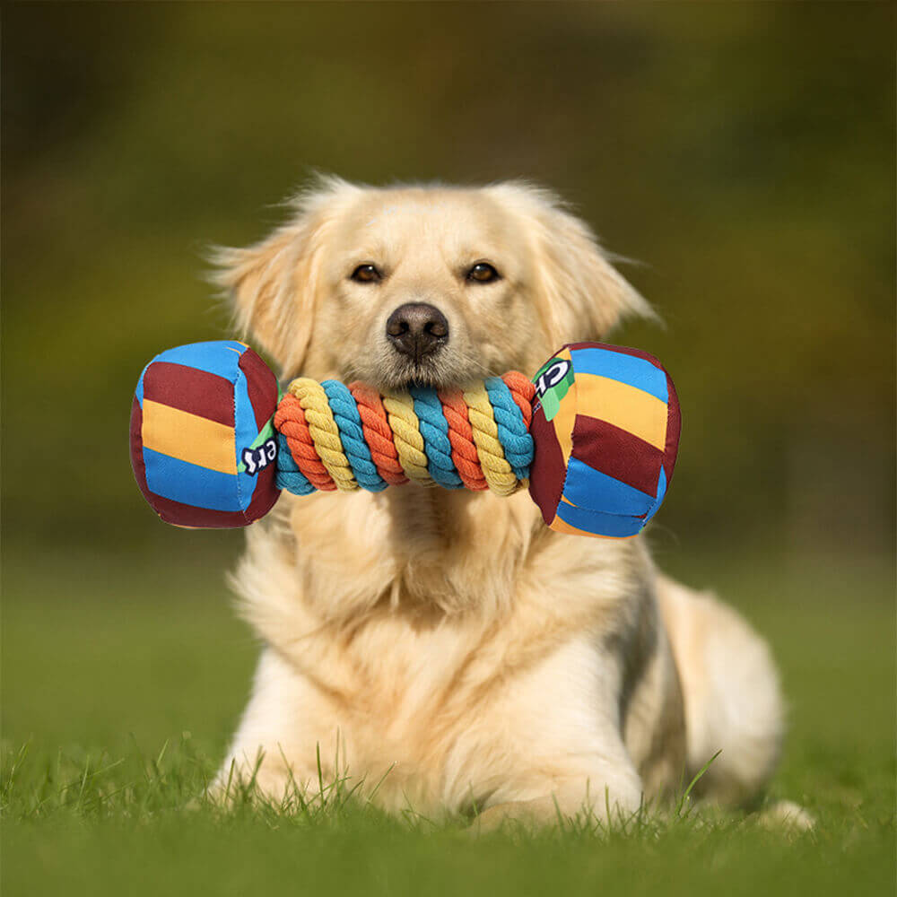 Jouet interactif pour chien avec haltère arc-en-ciel et corde durable et grinçante