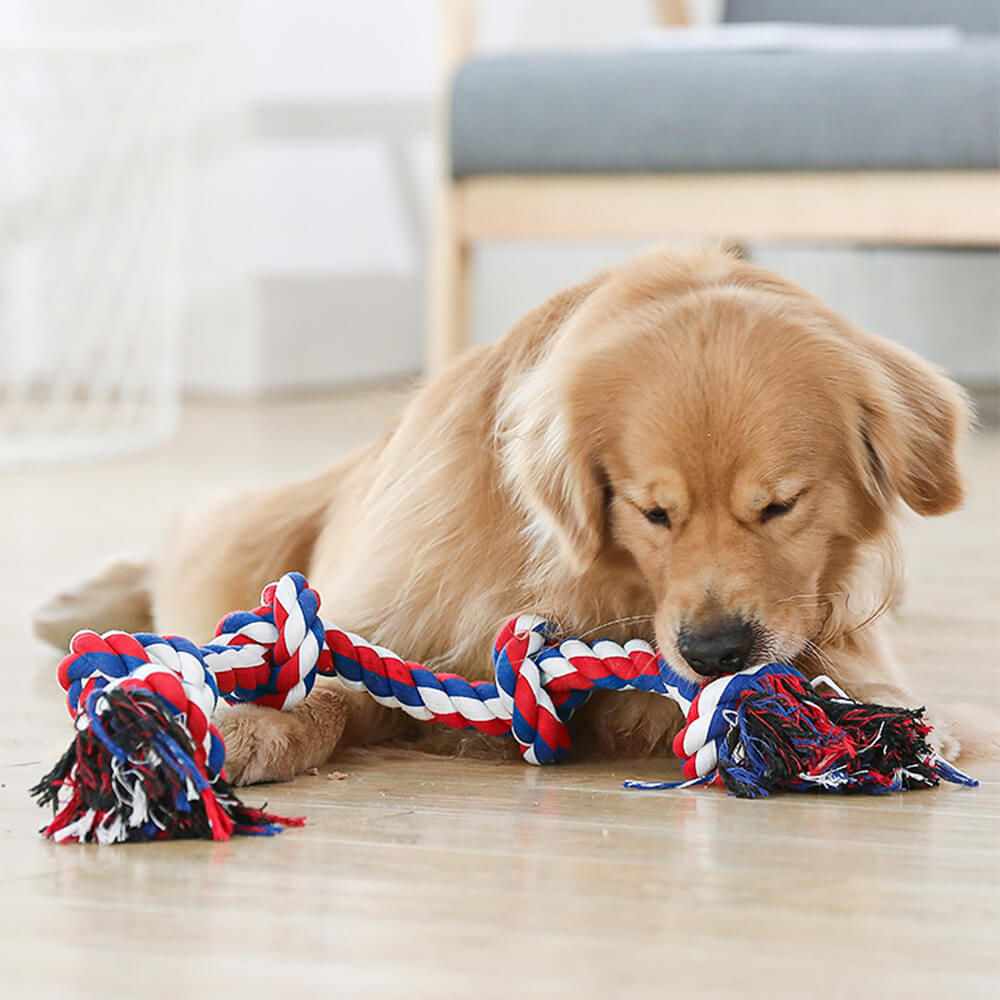 Rope Knot Tug Dog Interactive Toy
