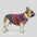 Soft Warm Thick-Knitted Dog Sweater – Designed For Dachshunds, French Bulldogs & Pugs