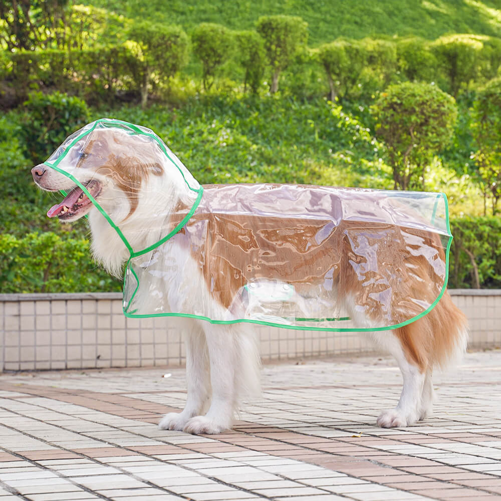 Transparent EVA Waterproof Outdoor Dog Hooded Raincoat