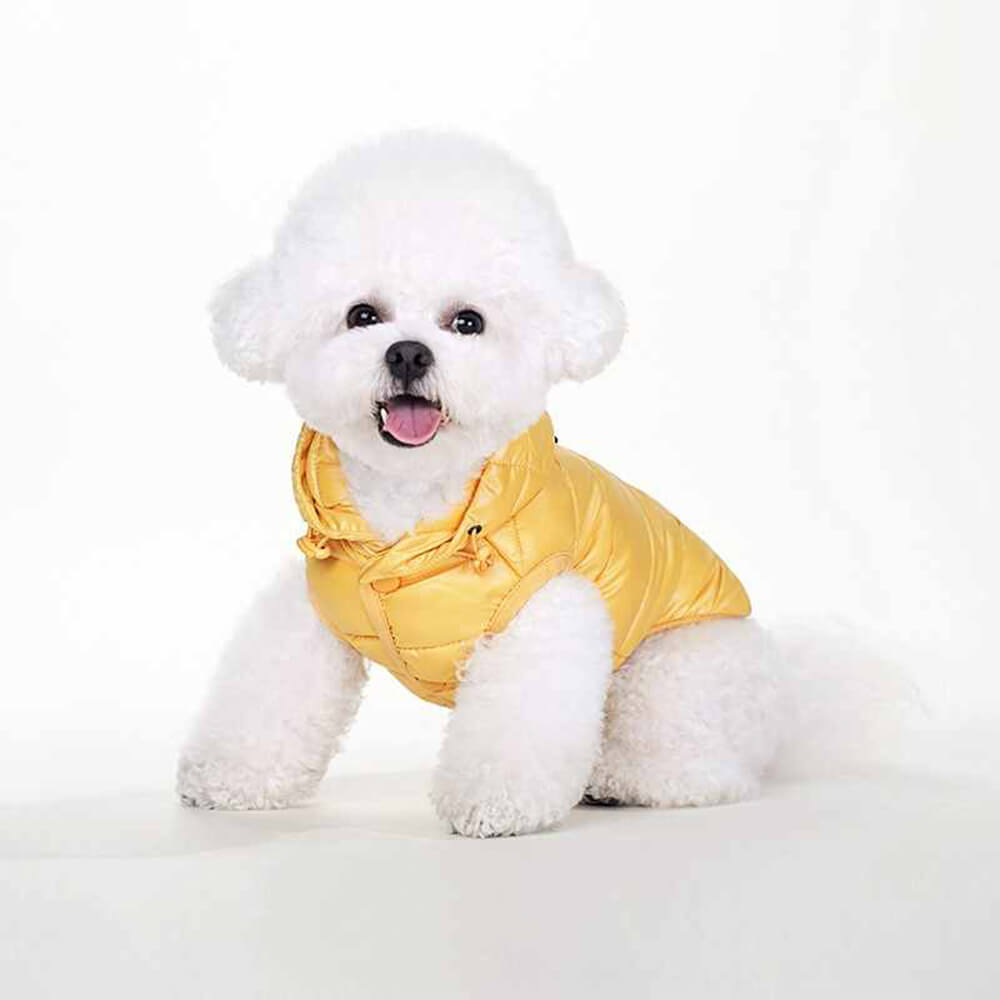 Trendy Lightweight Warm Dog Hooded Vest with D-Ring Leash