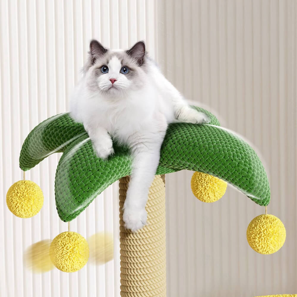 Tropical Coconut Tree Cat Climbing Frame