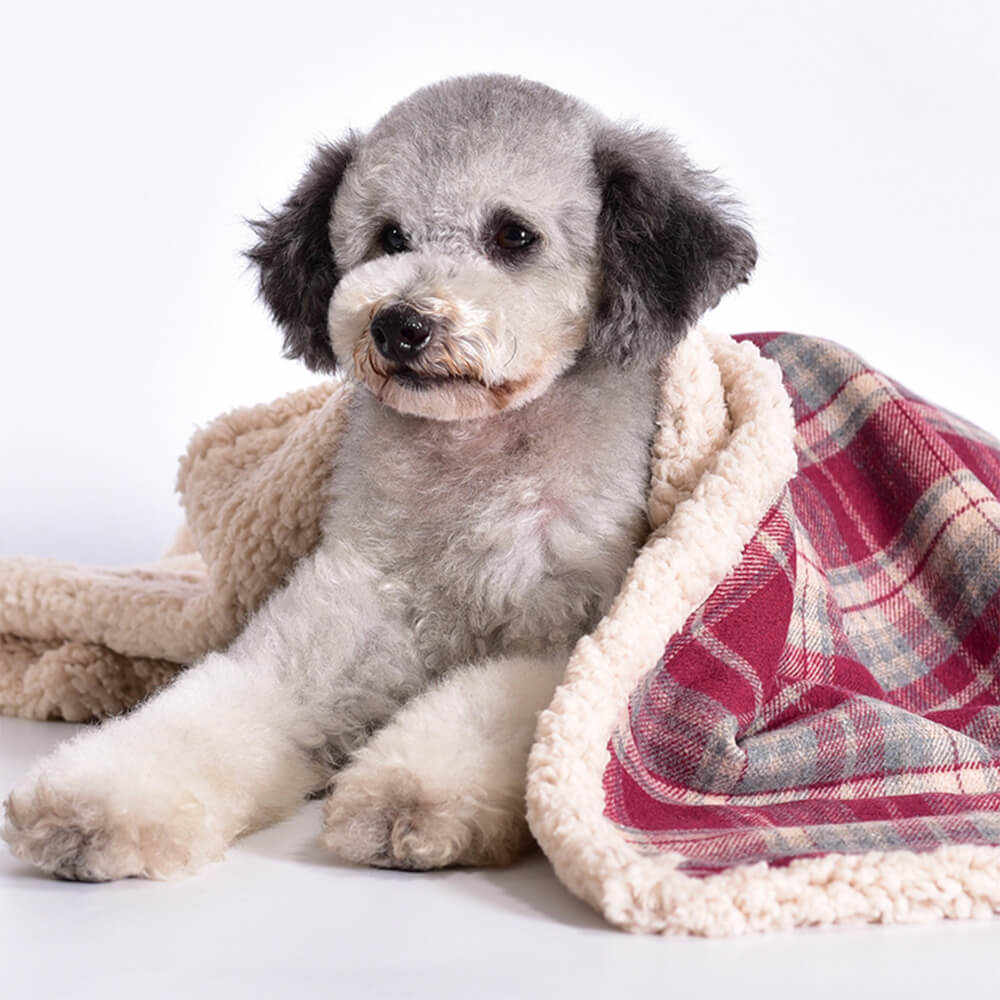 Couverture épaisse en polaire Sherpa chaude et confortable pour chiens et chats