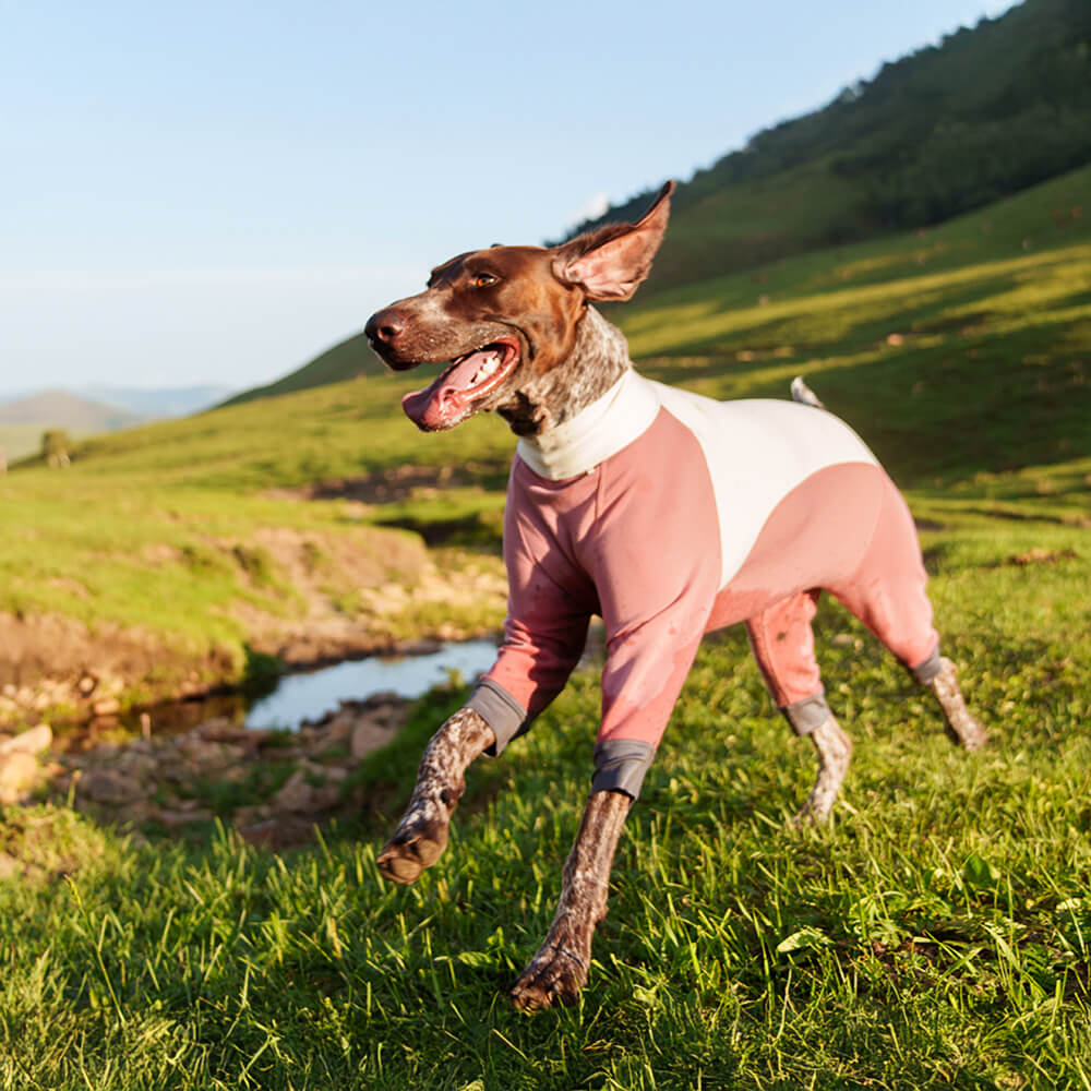 Warm Cozy Turtleneck Stretchable Four-Legged Anti-Static Outdoor Dog Bodysuit