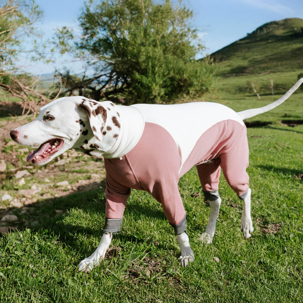 Warm Cozy Turtleneck Stretchable Four-Legged Anti-Static Outdoor Dog Bodysuit