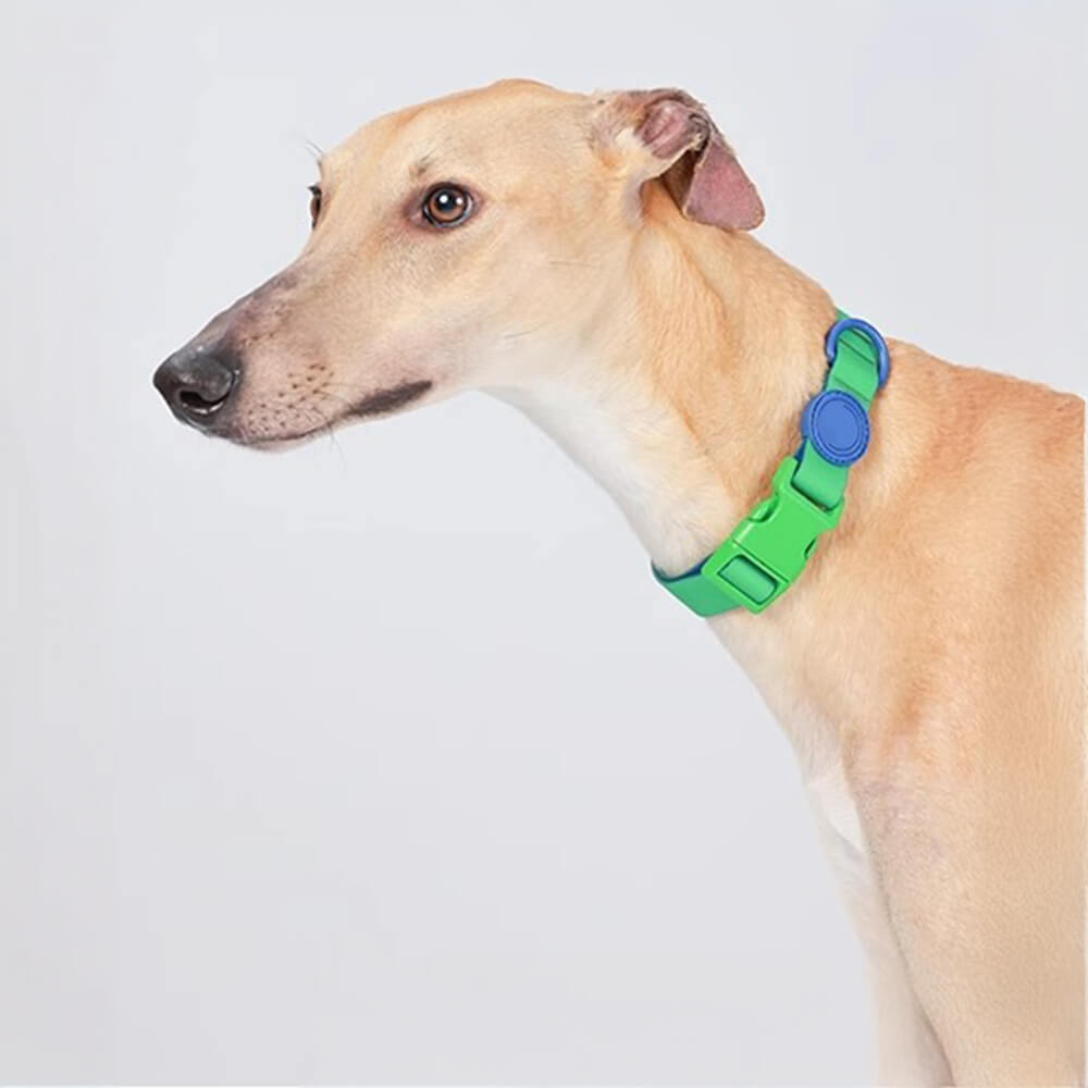 Waterproof Adjustable Nylon Dog Collar and Leash