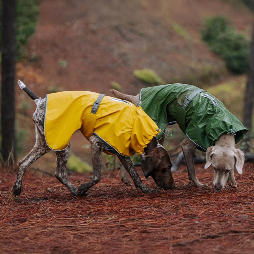 Waterproof Turtleneck Adjustable Reflective Jacket Outdoor Raincoat For Dog And Owner