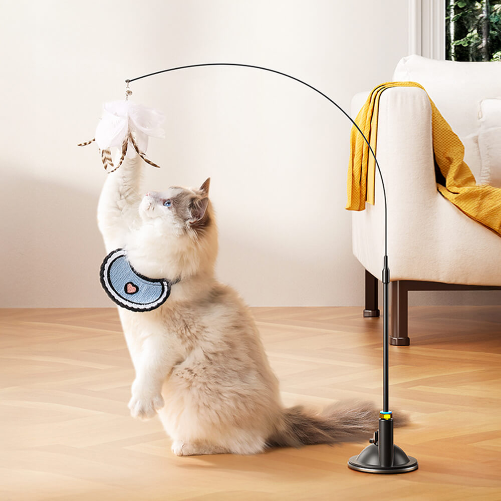 Suction Cup Interactive Feather Teaser Cat Toy