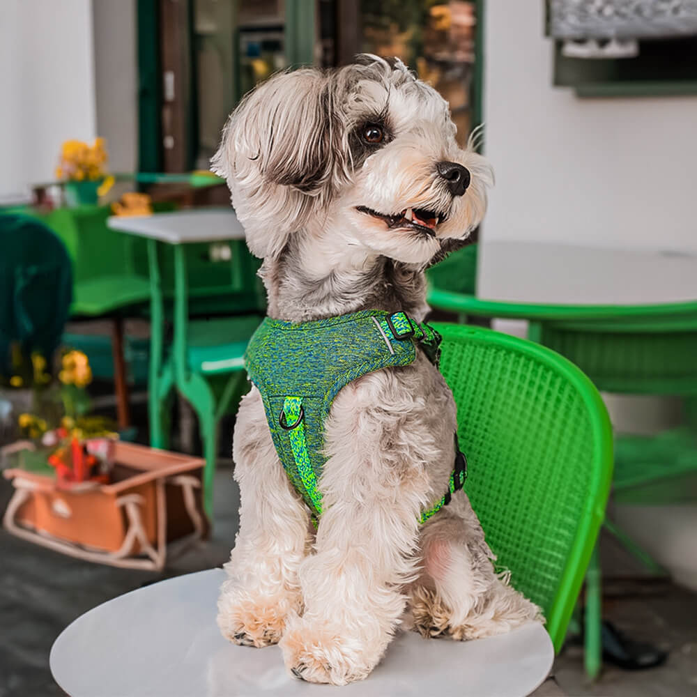 Eco-friendly Recycled Fabric No-Pull Dog Harness and Leash