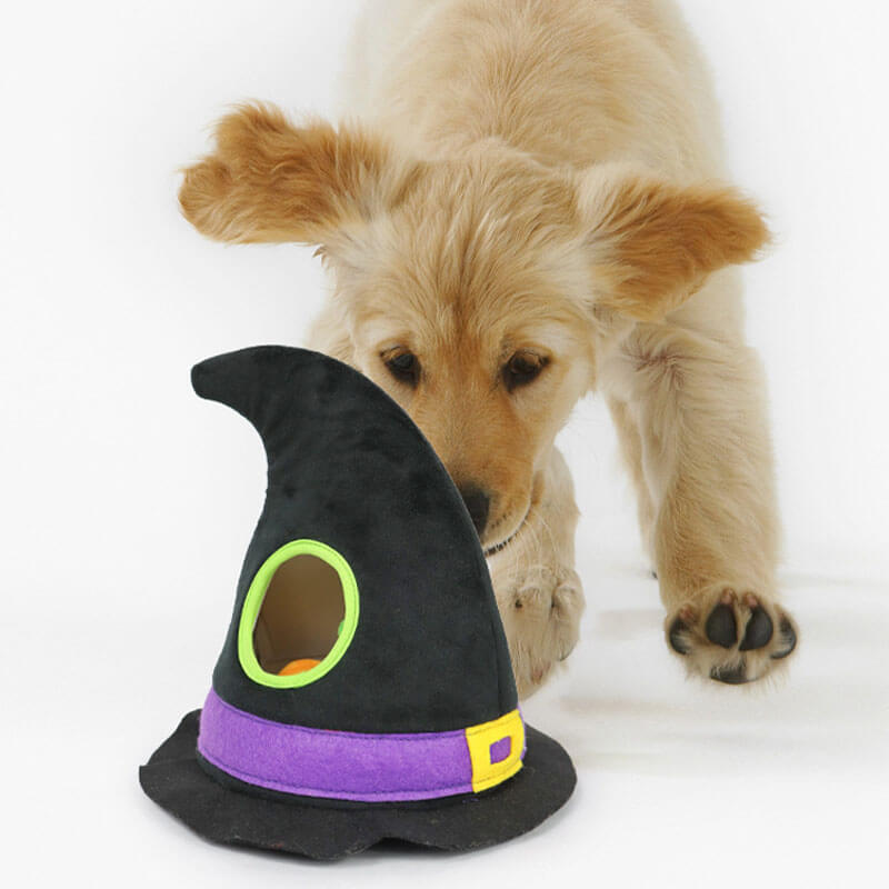 Sombrero de bruja de Halloween Calabaza chirriante Ojos de gato negro Perro Juego de cuatro piezas Juguetes