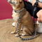 Multifunktionales Anti-Pull-Hundehalsband und Leine-Set aus handgewebtem Leder