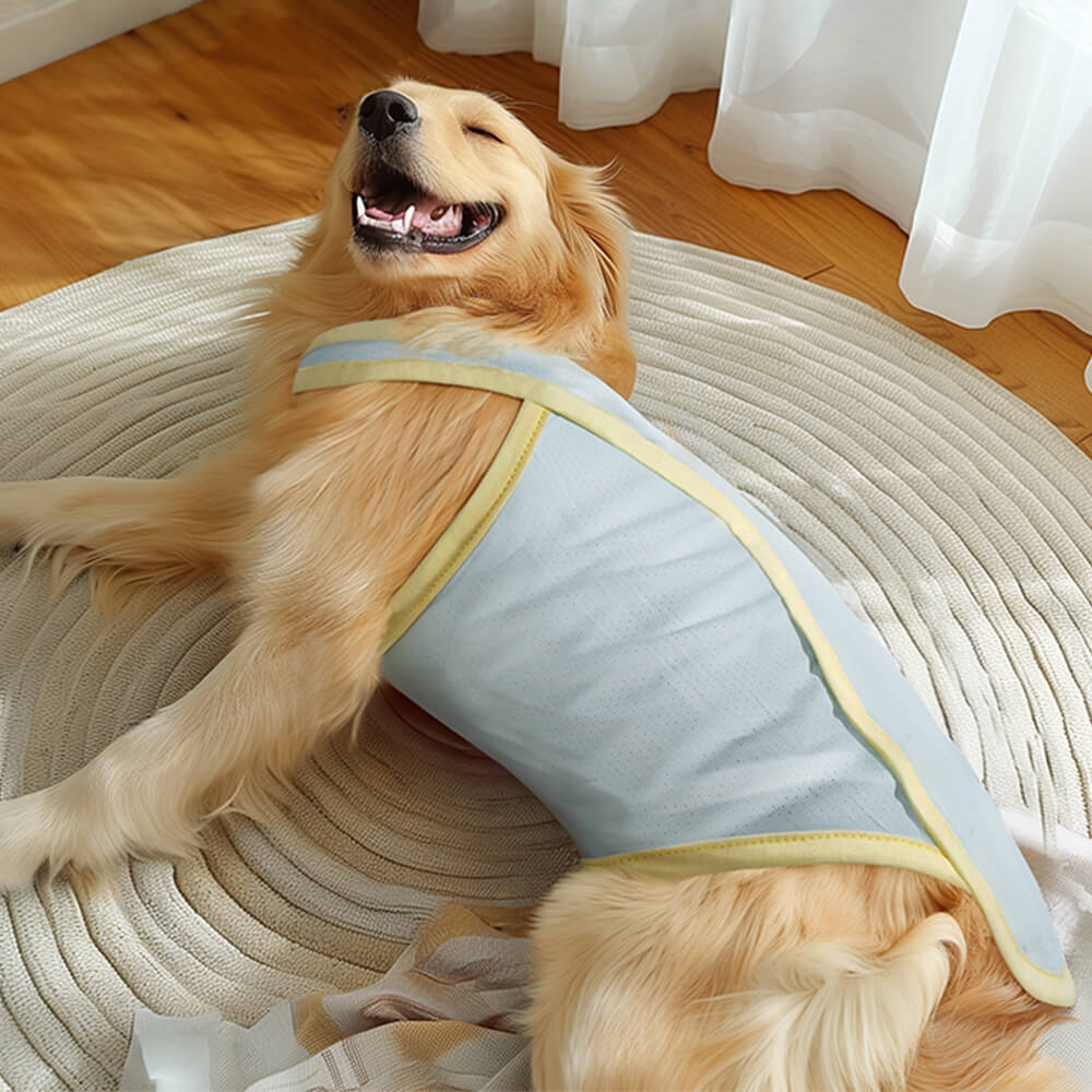 Ropa refrescante para perros con protección solar, chaleco para perros con seda de hielo