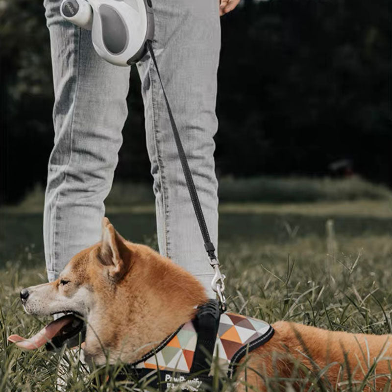 LED largo retráctil Cool Dog accesorios correa de entrenamiento