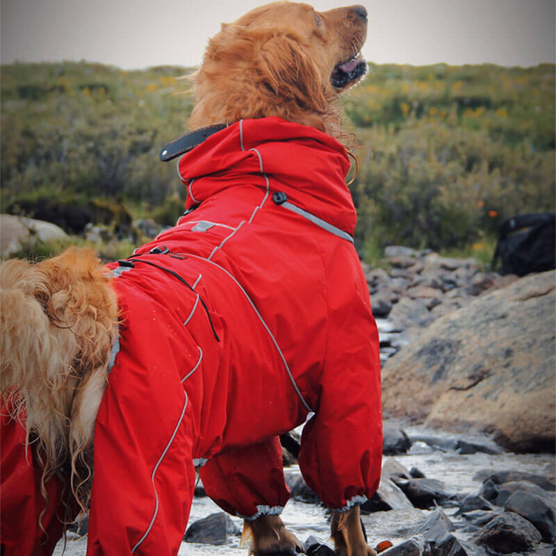 Veste d'extérieur pour grand chien, manteau de pluie imperméable et réglable pour chien