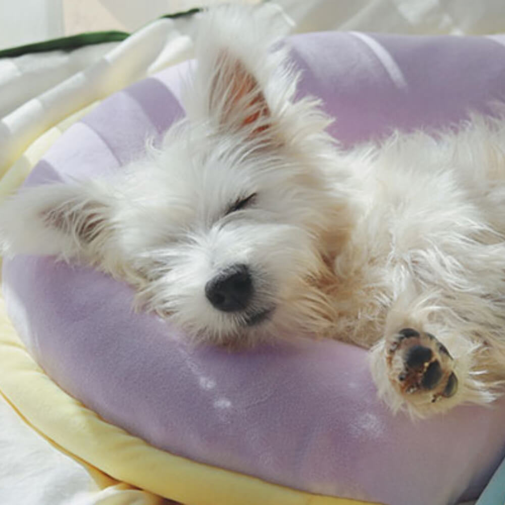 Oreiller orthopédique de soutien de la colonne vertébrale, oreiller de sommeil pour chien