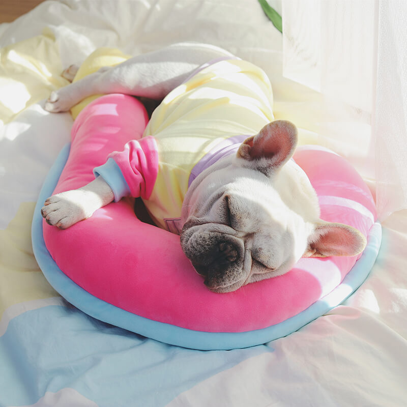 Orthopädisches Wirbelsäulenstützkissen zum Schlafen von Hunden