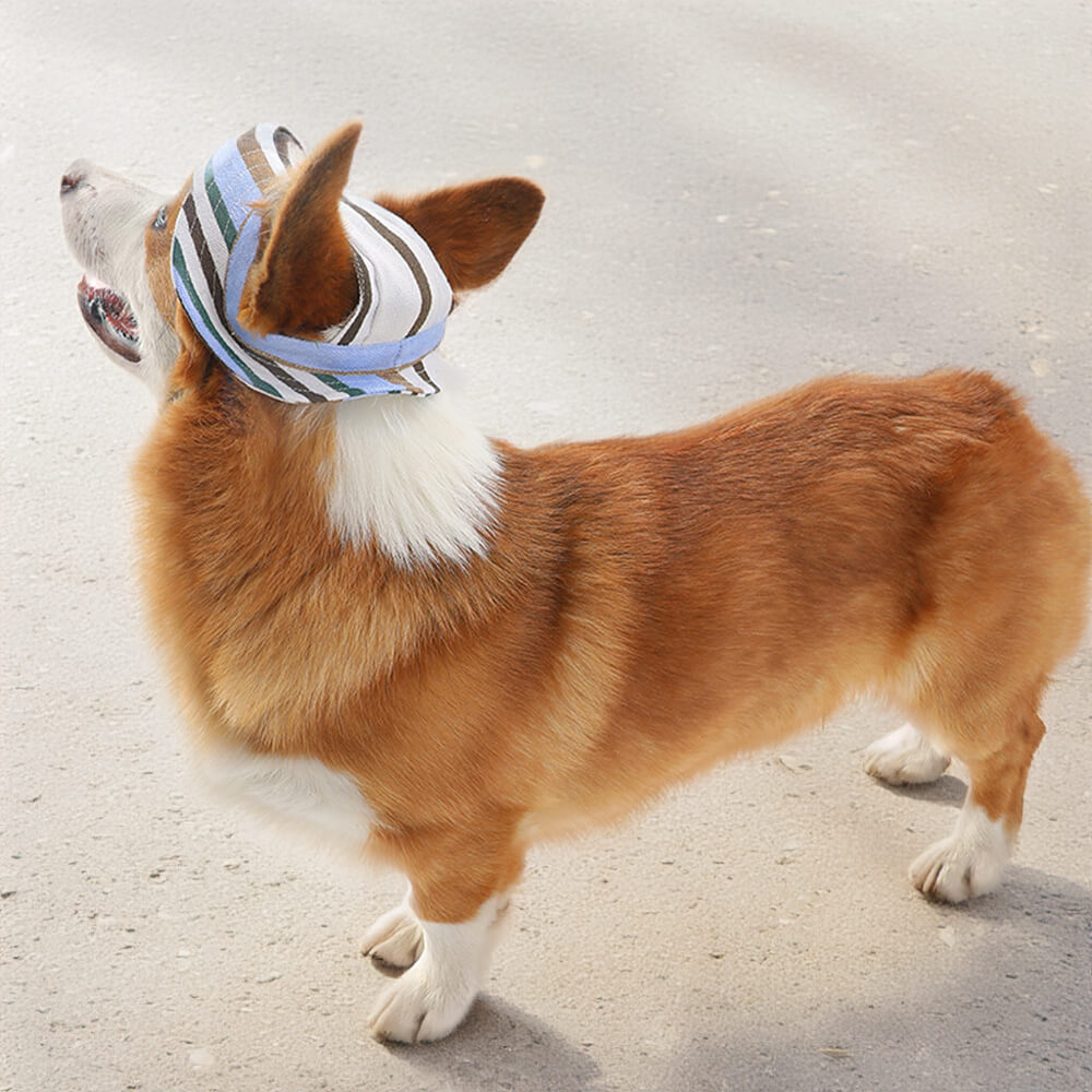 Outdoor Sports Hat Ear Holes Adjustable Dog Sunscreen Cap