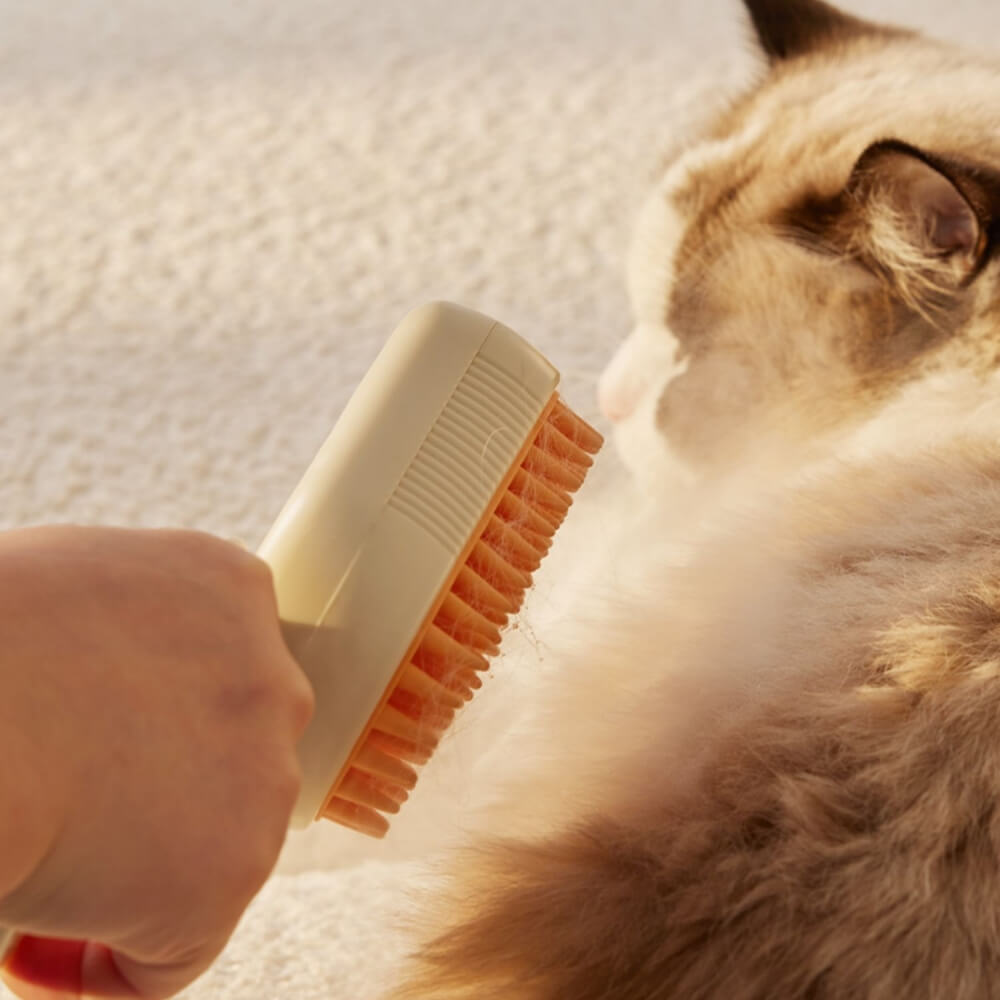 Peine de aseo para mascotas Peine de masaje en aerosol