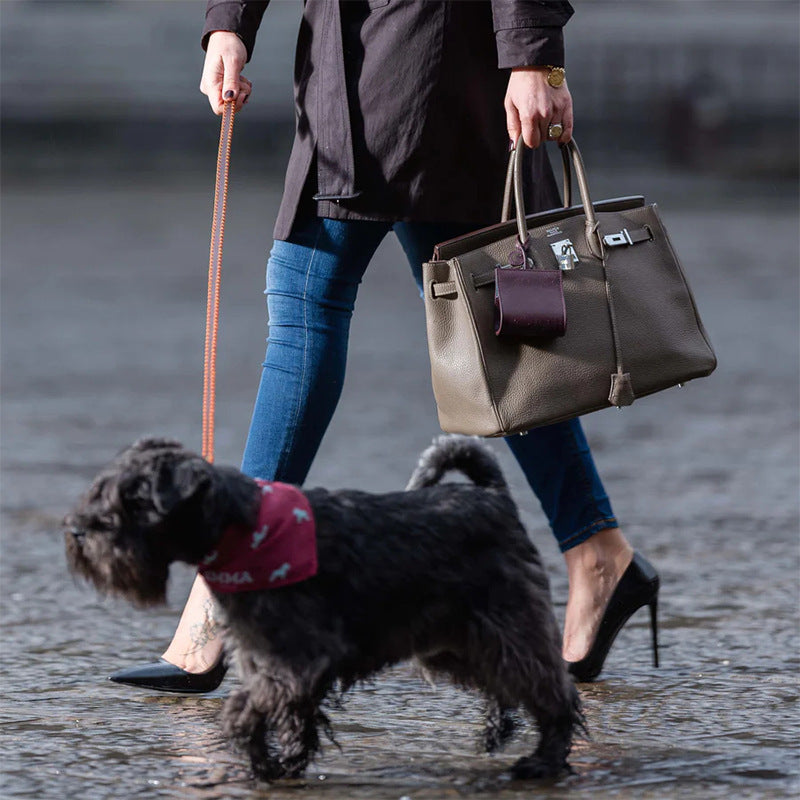 Ensemble de démarrage pour chiots – Kit de voyage pour animaux de compagnie en plein air