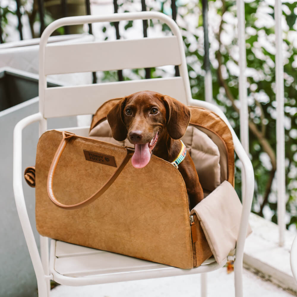 Ensemble de démarrage pour chiots – Kit de voyage pour animaux de compagnie en plein air