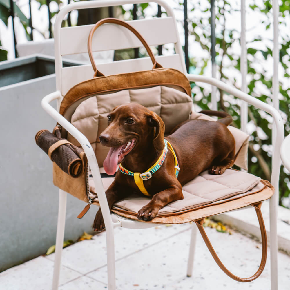 Ensemble de démarrage pour chiots – Kit de voyage pour animaux de compagnie en plein air