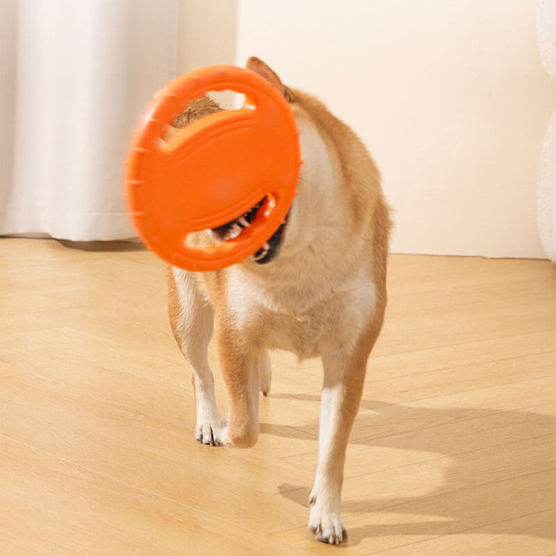 Volante de juguete de goma, disco volador interactivo para perros