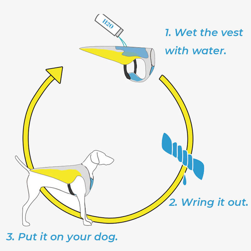 Chaleco de enfriamiento transpirable protector solar Chaqueta Cool Dog Accesorios Chaleco de enfriamiento