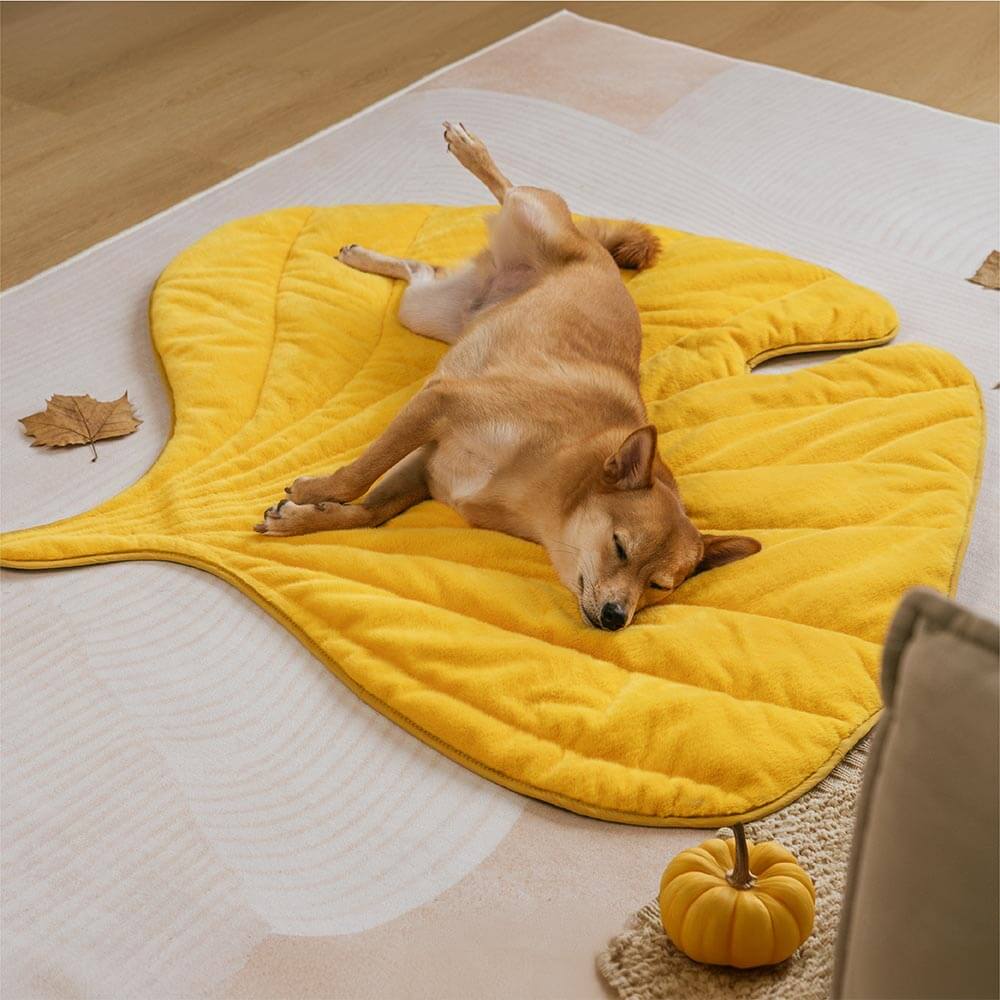 Tapis pour chien lavable en forme de feuille en peluche - Le collecteur de feuilles