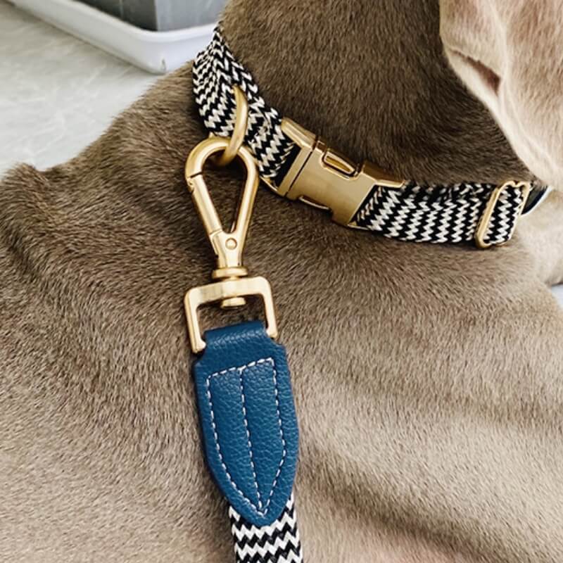 Vogue Halsschutz für Hunde mit Zebramuster, Hundehalsband, Hunde-Auslaufset