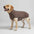 Windproof and Water-Resistant Dog Coat - Ideal for Large Dogs