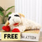 Plush Squeaker Toy Toy Dog Toys Interactive Toys