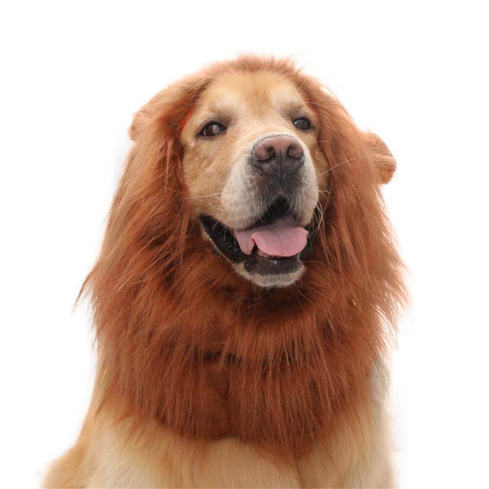 Lion Mane Dog Costume – Perfect for Halloween and Fun Occasions