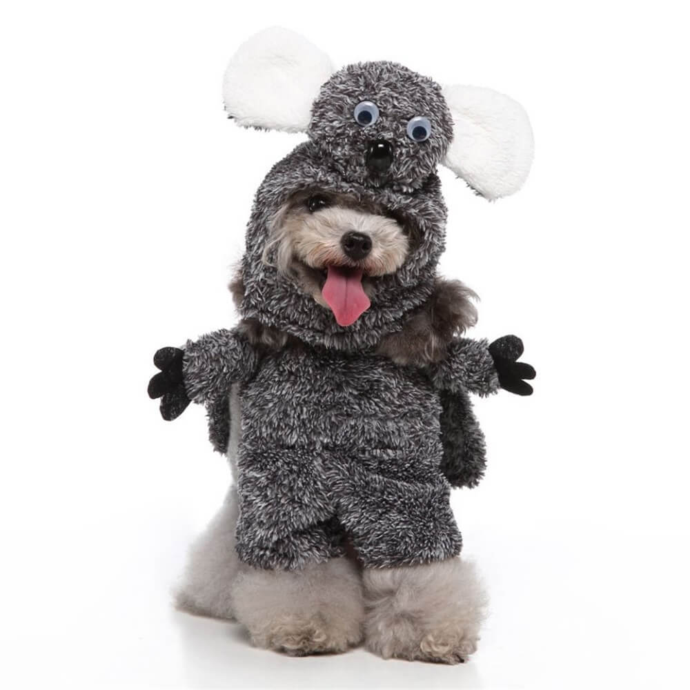 Disfraces divertidos de Halloween para perros cosplay: trajes divertidos y adorables para mascotas