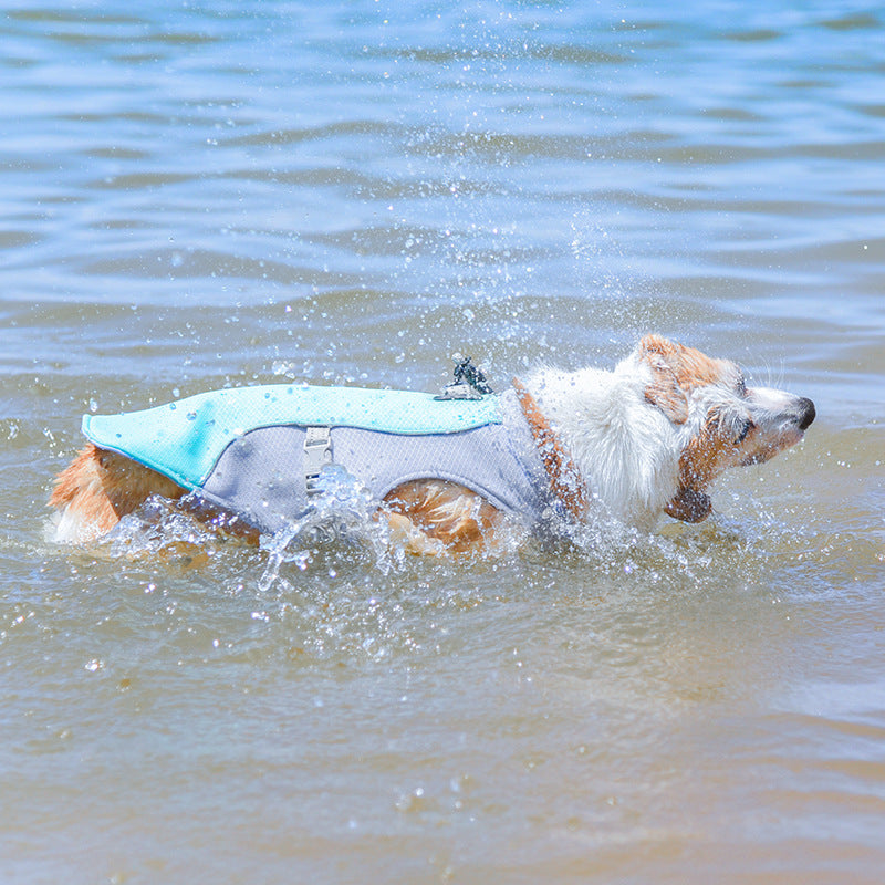 Chaleco transpirable para la prevención de insolaciones Chaleco de enfriamiento para perros empapado en agua