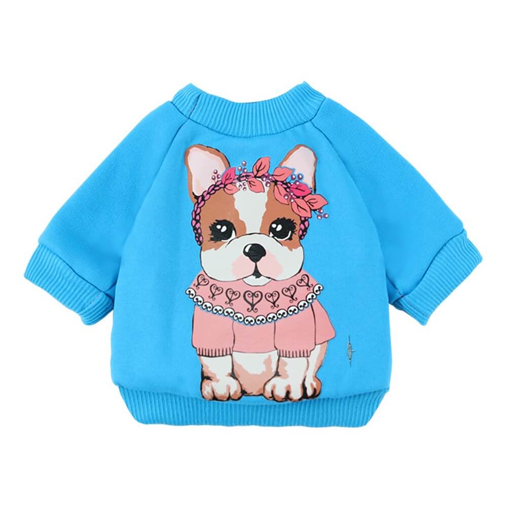 Comfortable and stylish dog sweatshirt - perfect for all seasons walks