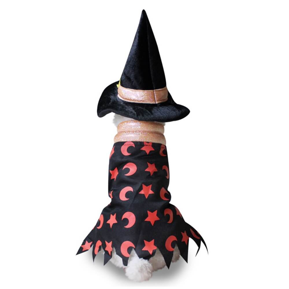 Knitted Striped Pumpkin Wizard Multi-Character Dog Costume