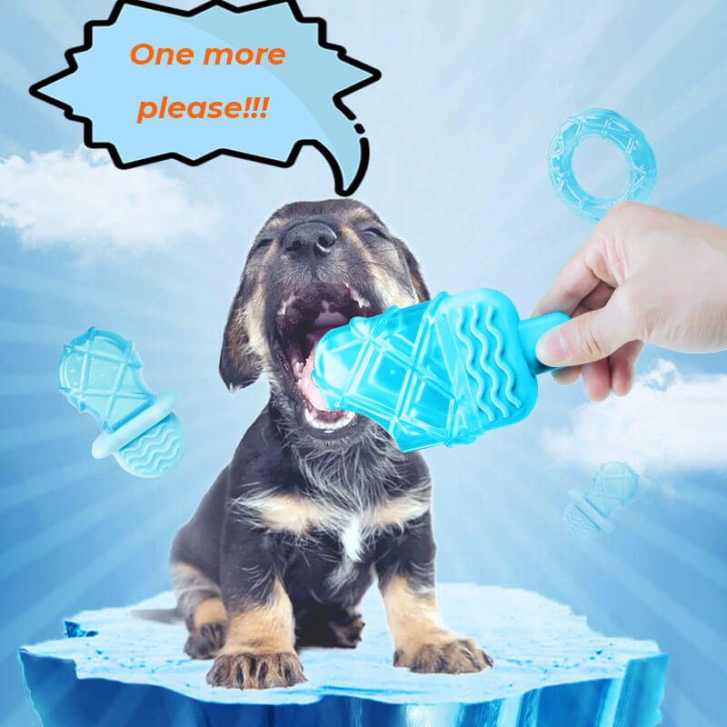 Kühlendes, mit Wasser gefülltes Eislutscher-Beißspielzeug für Hunde