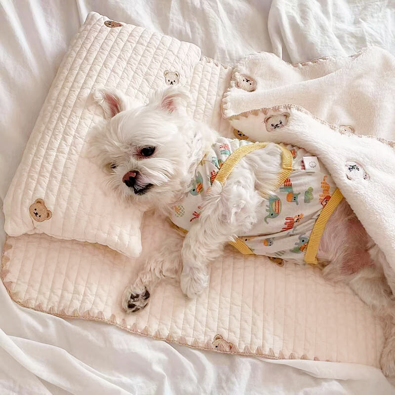 Acogedor juego de cama con edredón y almohada para mascotas de algodón bordado
