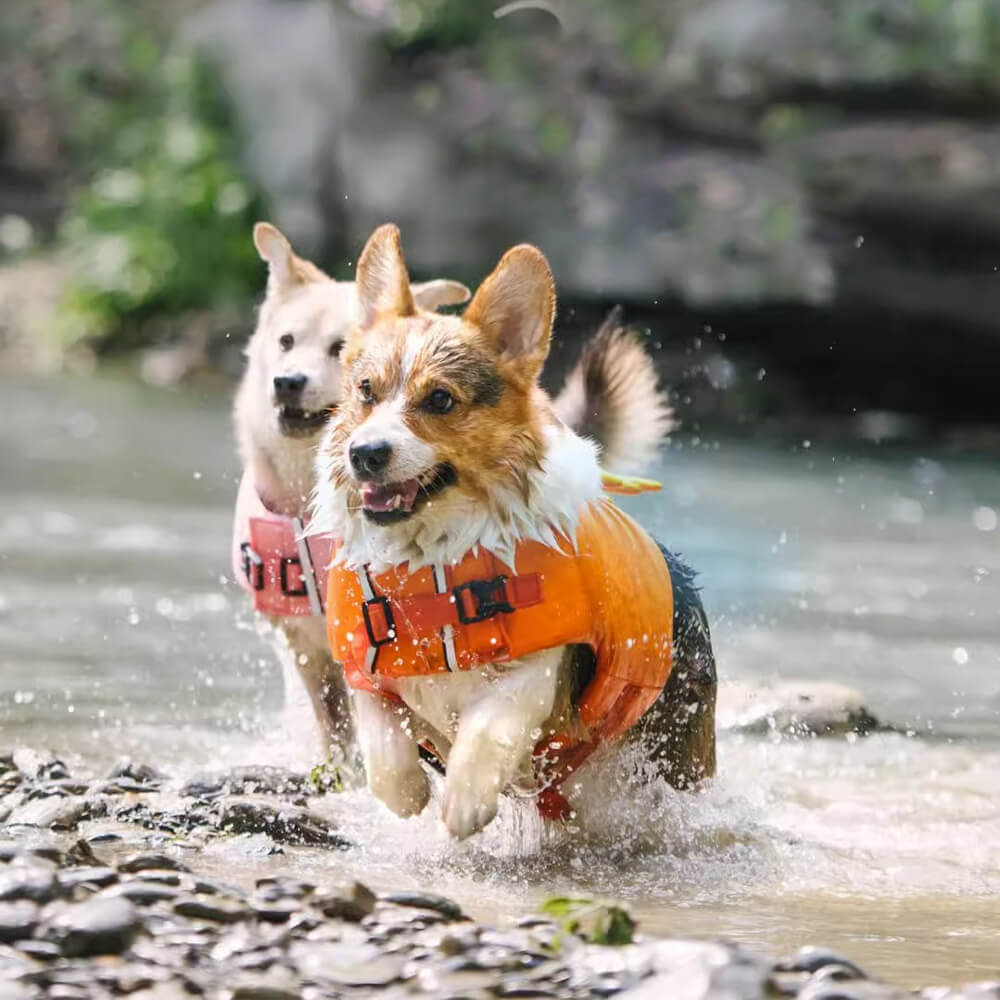 Chaleco salvavidas para perros con capa flotante de cangrejo
