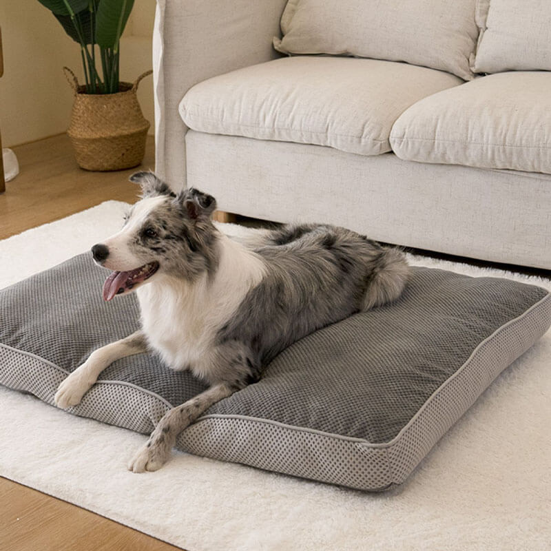 Grand tapis de couchage gris respirant pour animaux de compagnie, coussin amovible pour chien