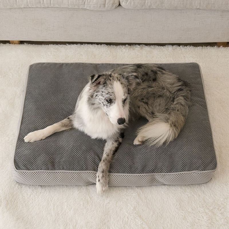 Grand tapis de couchage gris respirant pour animaux de compagnie, coussin amovible pour chien