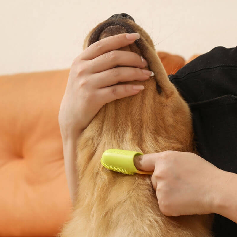 Brosse à dents pour animaux de compagnie, brosse à dents pour le nettoyage des dents