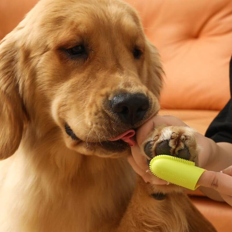 Brosse à dents pour animaux de compagnie, brosse à dents pour le nettoyage des dents