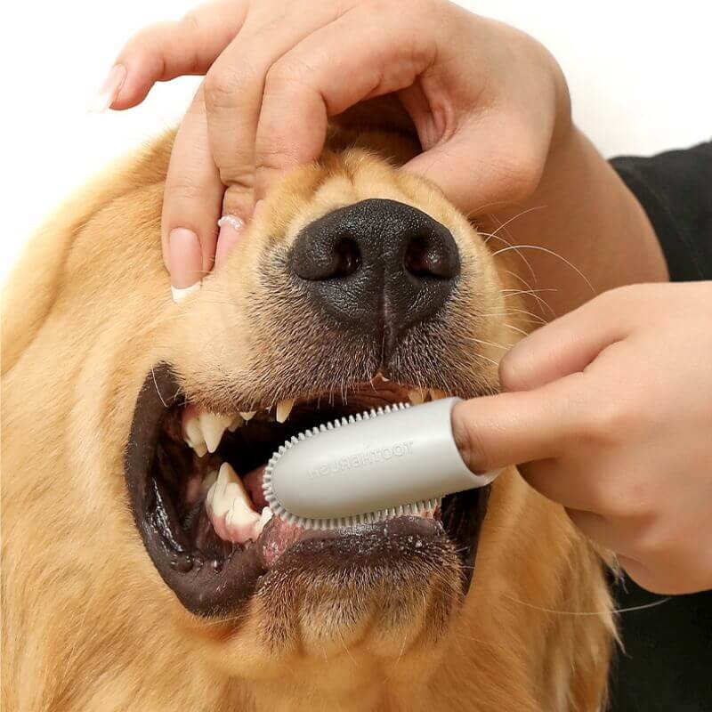 Cepillo de dientes para mascotas Cepillo de dientes para limpieza de dientes