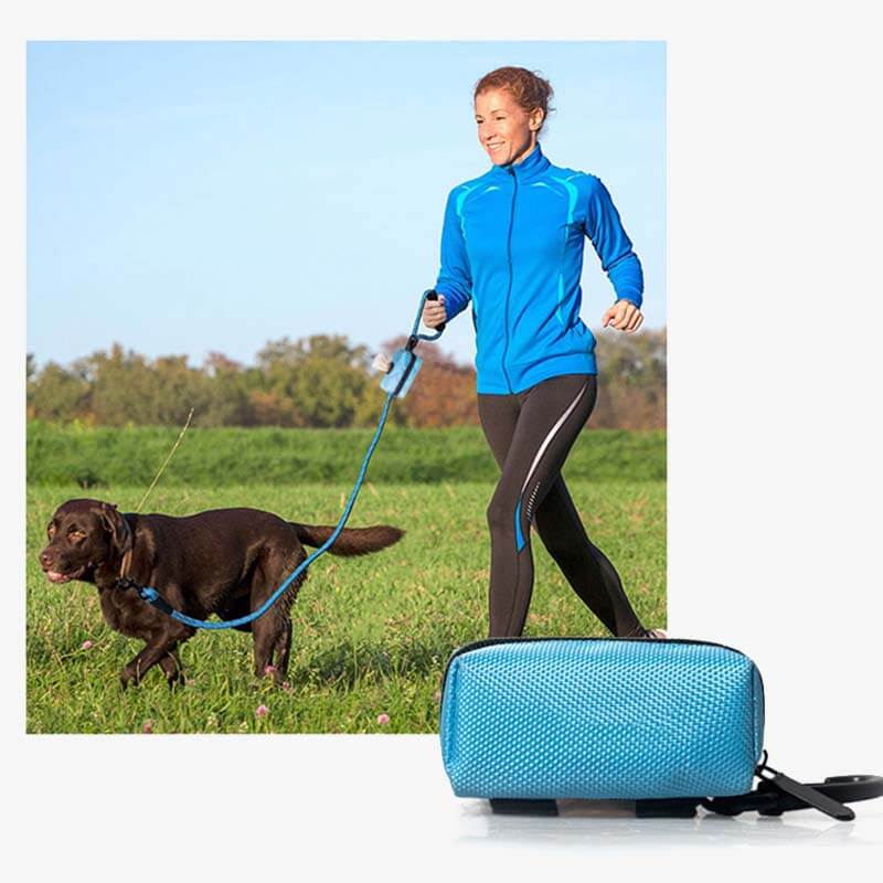 Dispensador portátil de bolsas para residuos de perros, bolsa para pasear perros de tela Oxford