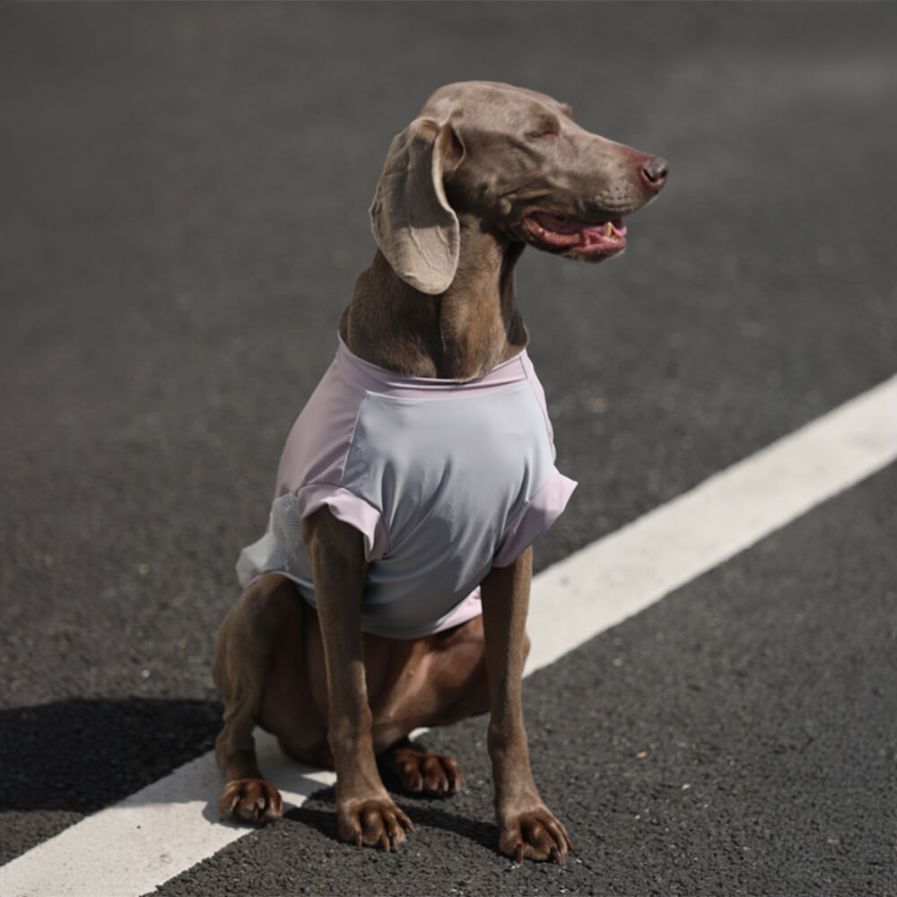 Chaleco para perros transpirable, ligero y con protección solar, elegante y con bloques de colores