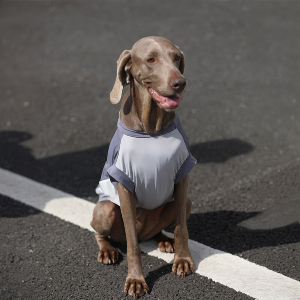 Chaleco para perros transpirable, ligero y con protección solar, elegante y con bloques de colores
