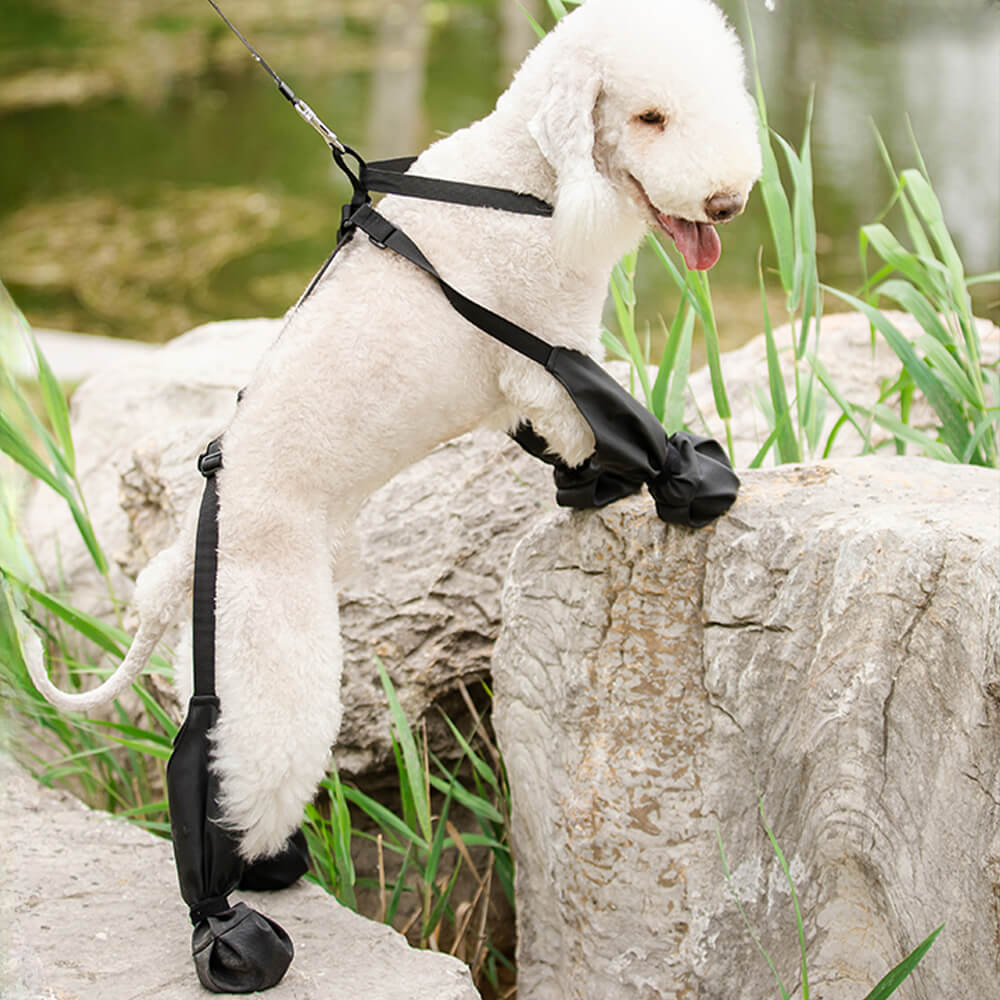 Leggings antideslizantes impermeables para botas de perro: portátiles, duraderos y resistentes a la suciedad