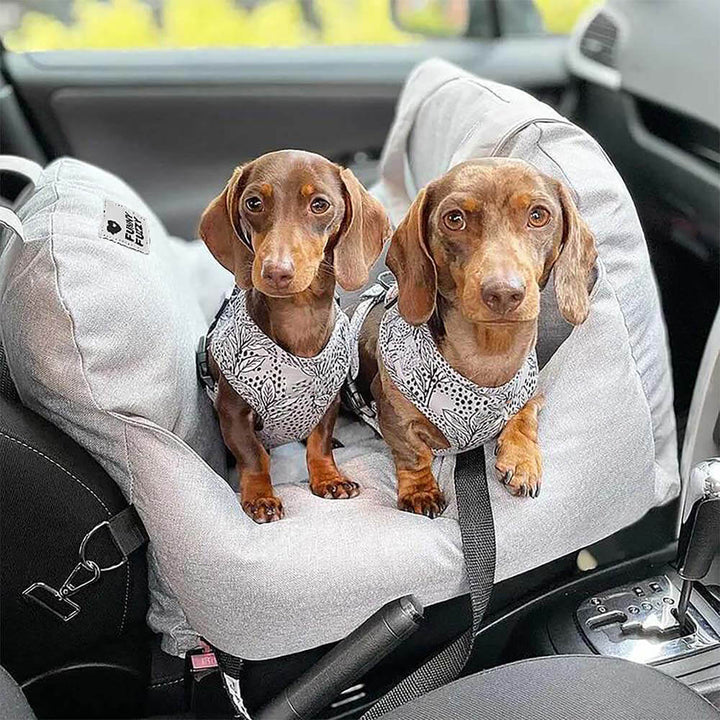 Letto di sedile per auto per cani - Prima classe